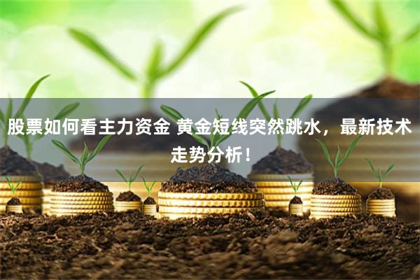 股票如何看主力资金 黄金短线突然跳水，最新技术走势分析！