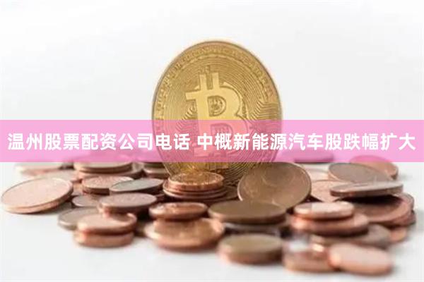 温州股票配资公司电话 中概新能源汽车股跌幅扩大