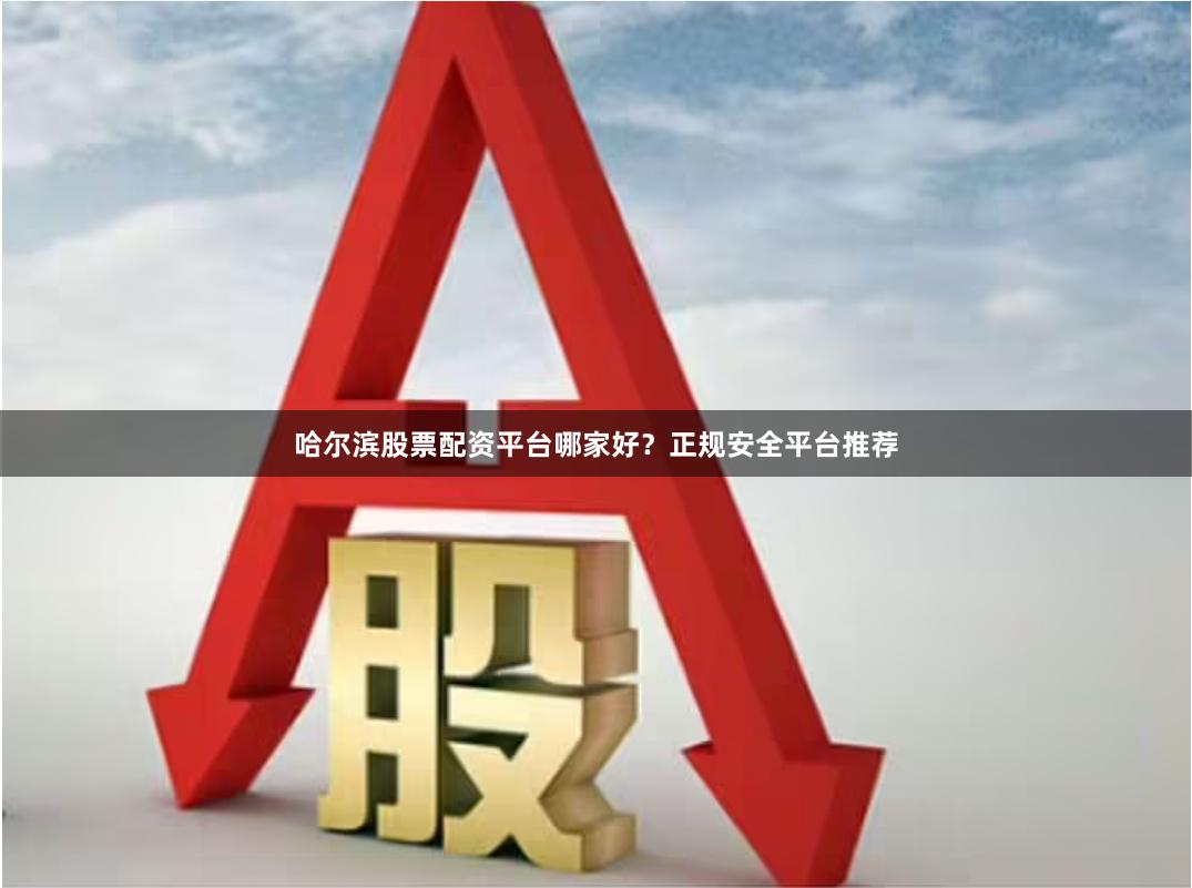 哈尔滨股票配资平台哪家好？正规安全平台推荐